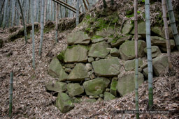 芥川山城の大手石垣（2007年）｜高解像度画像サイズ：4992 x 3328 pixels｜写真番号：VJ7Z0559｜撮影：Canon EOS-1Ds Mark II