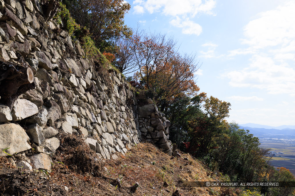 八幡山城西の丸石垣