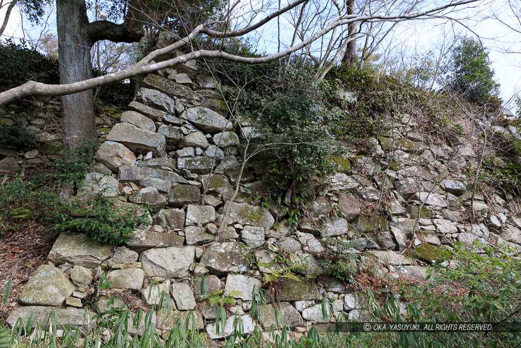 八幡山城二の丸虎口左手の石垣