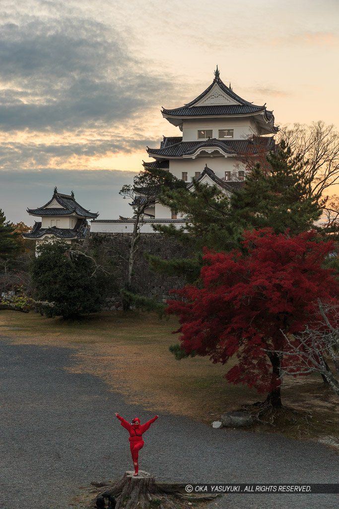 伊賀上野城と忍者
