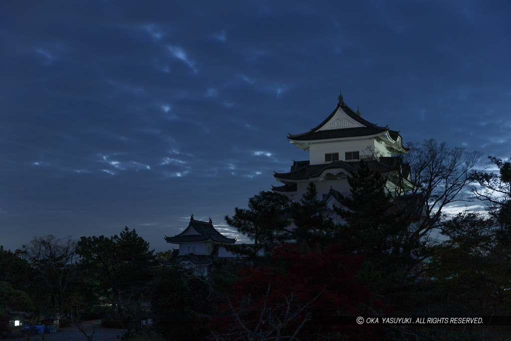 伊賀上野城の夜の風景