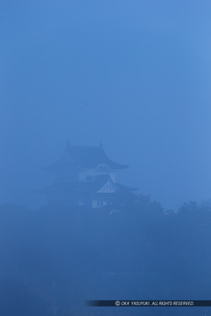 朝霧と伊賀上野城