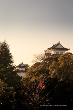 伊賀上野城の夕景｜高解像度画像サイズ：3456 x 5184 pixels｜写真番号：1DX_6294｜撮影：Canon EOS-1D X