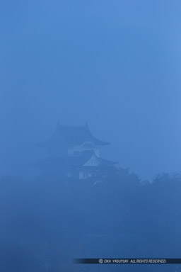 朝霧と伊賀上野城｜高解像度画像サイズ：3368 x 5052 pixels｜写真番号：1DX_6606｜撮影：Canon EOS-1D X
