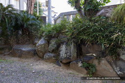 岸和田城の堀の残石か（岸城神社） | 高解像度画像サイズ：7290 x 4863 pixels | 写真番号：344A4551 | 撮影：Canon EOS R5