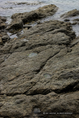 岩礁のピット西側｜高解像度画像サイズ：3488 x 5232 pixels｜写真番号：1P3J5746｜撮影：Canon EOS-1Ds Mark III