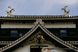 日本最大級の銅板張木造鯱｜高解像度画像サイズ：4019 x 2674 pixels｜写真番号：100-5798S53B｜撮影：Canon EOS-1DS