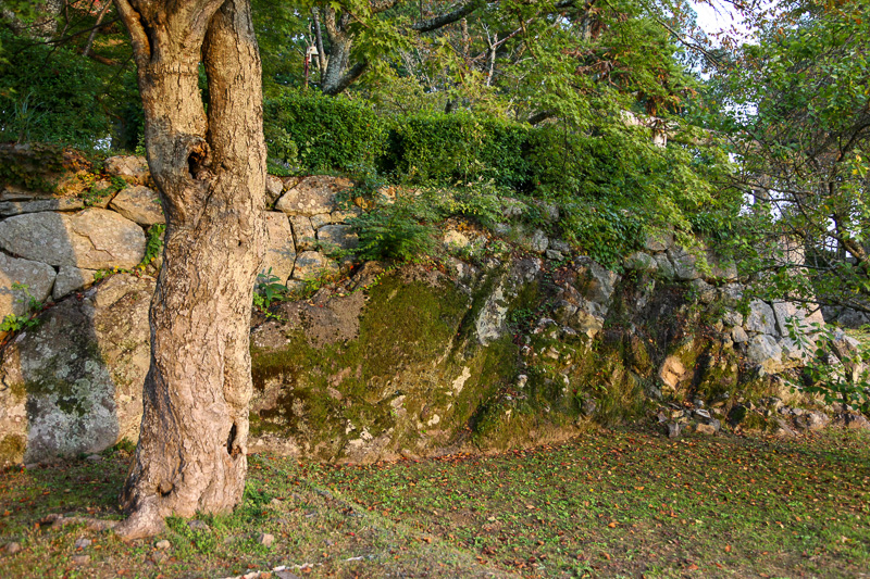 自然の岩盤を利用した本丸石垣