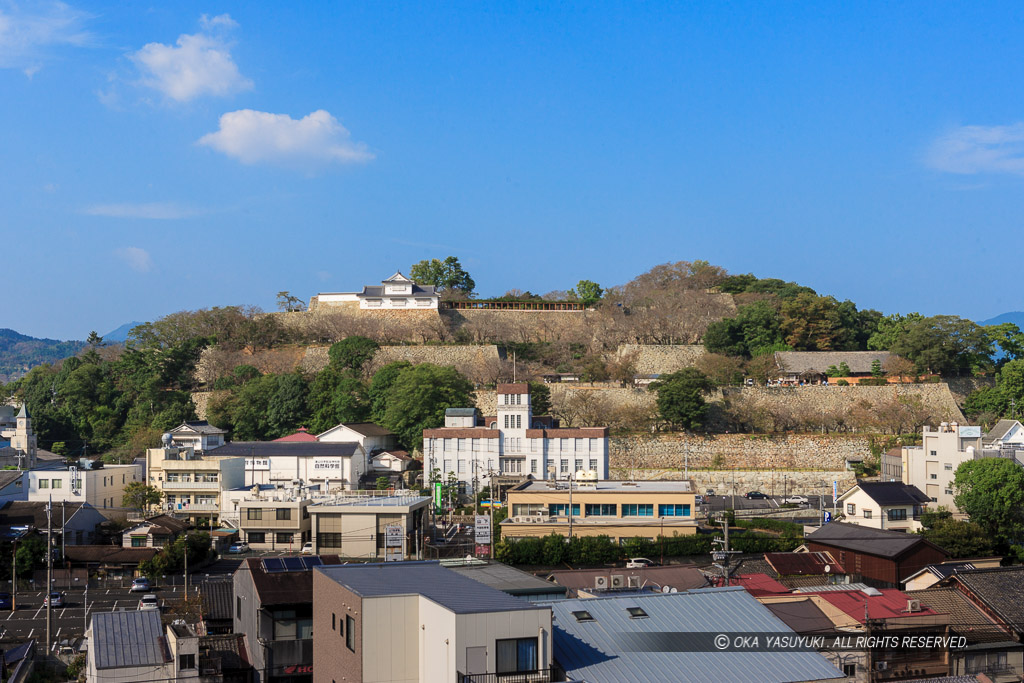 津山城の遠景