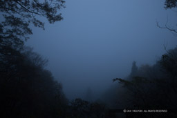 朝霧が展望スポットまで包む様子｜高解像度画像サイズ：5184 x 3456 pixels｜写真番号：1DX_5547｜撮影：Canon EOS-1D X