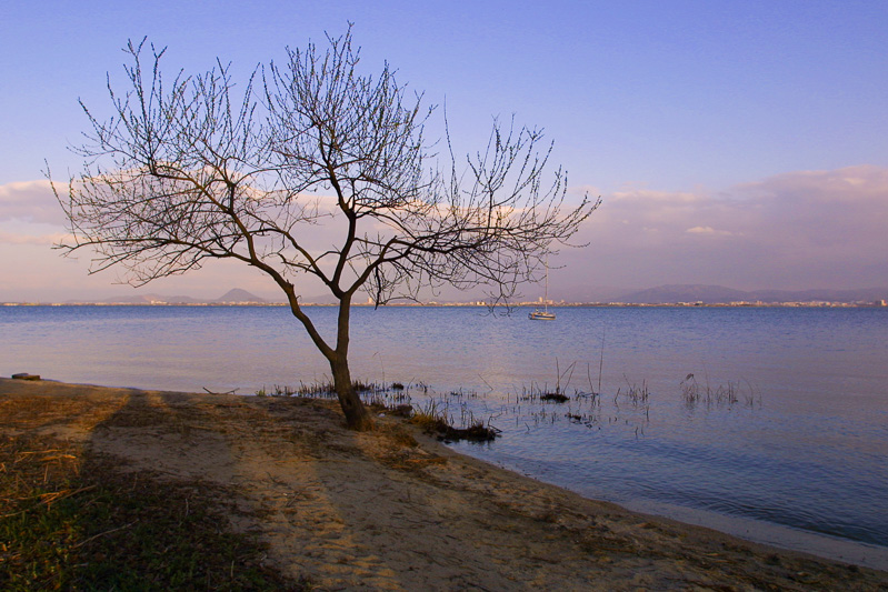 坂本城跡から琵琶湖を望む