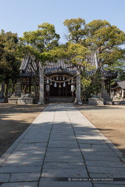 英賀神社｜高解像度画像サイズ：3540 x 5310 pixels｜写真番号：IMG_1082｜撮影：Canon EOS 6D