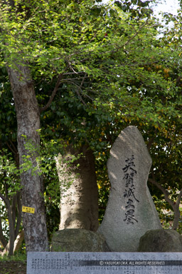 英賀城土塁石碑・英賀神社｜高解像度画像サイズ：3246 x 4869 pixels｜写真番号：IMG_1092｜撮影：Canon EOS 6D