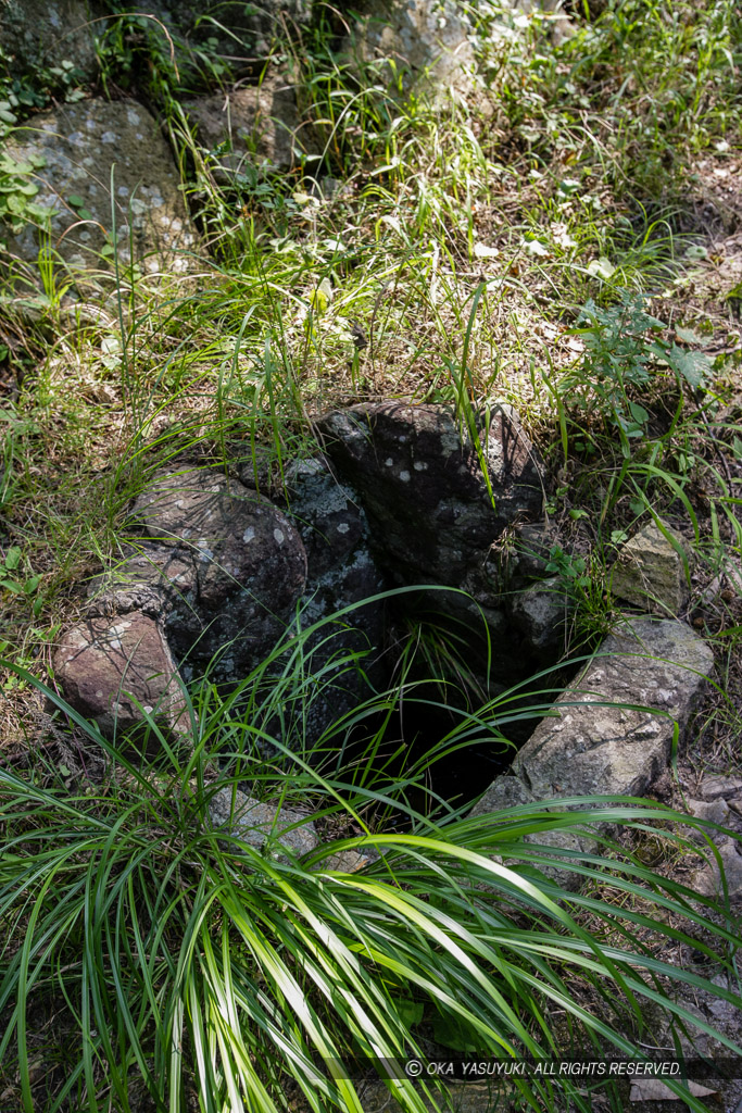 松平直明公遺愛お茶の水