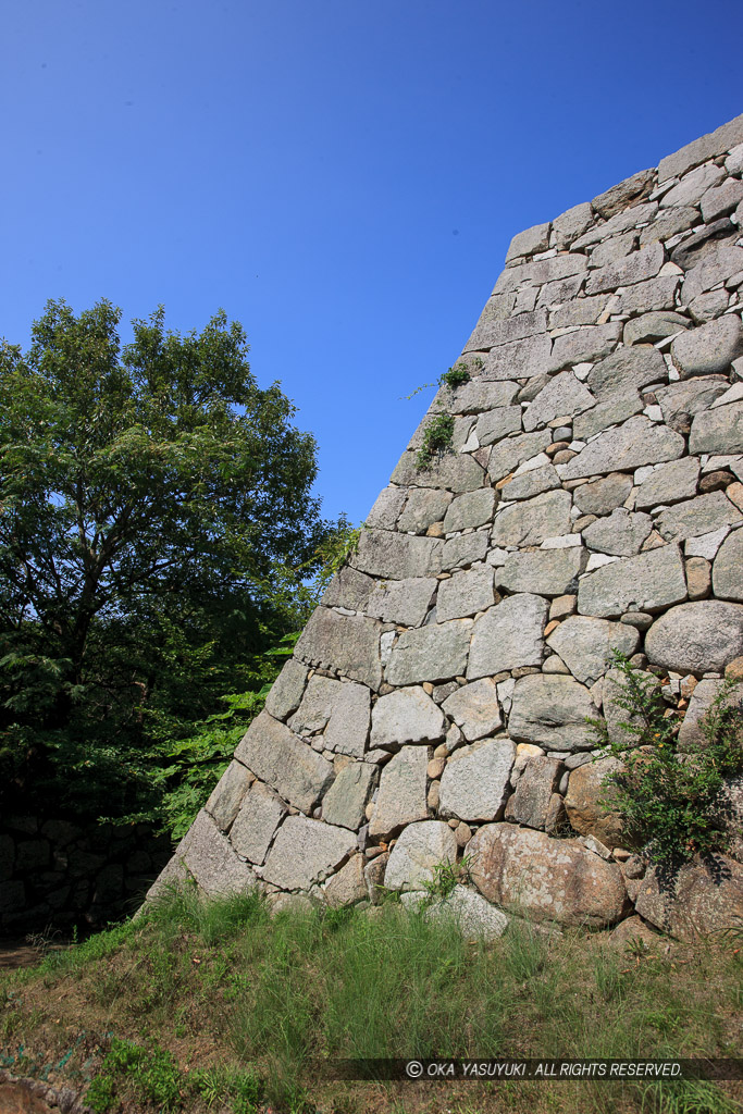 東の丸石垣・角の櫓跡