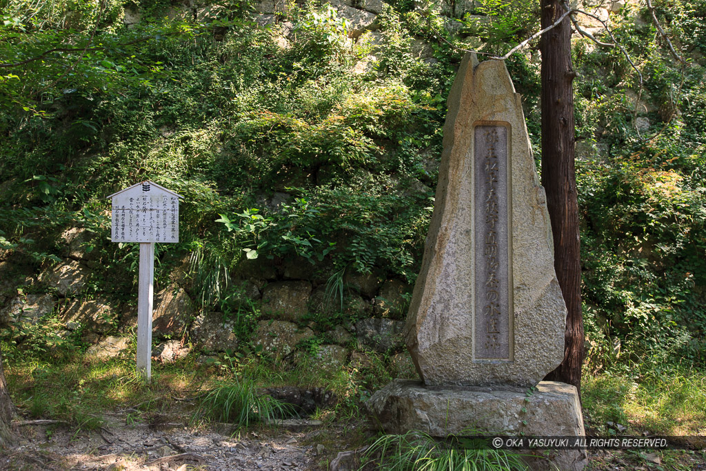 松平直明公遺愛お茶の水