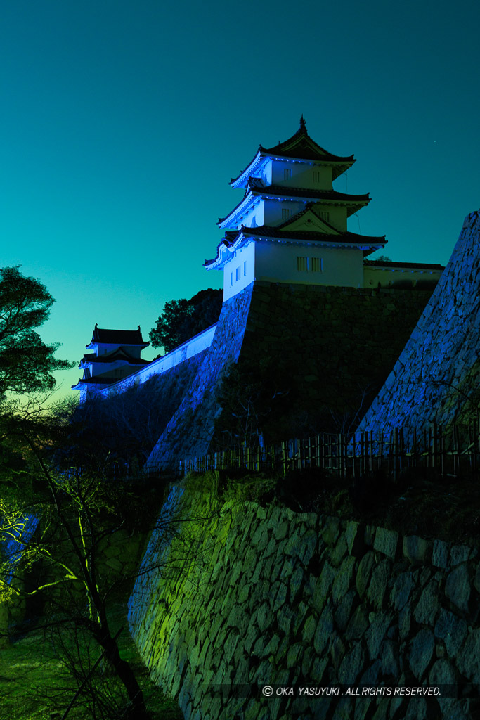 明石城のライトアップ