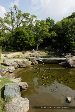 三の丸庭園｜高解像度画像サイズ：3744 x 5616 pixels｜写真番号：1P3J8193｜撮影：Canon EOS-1Ds Mark III