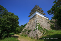 巽櫓｜高解像度画像サイズ：5616 x 3744 pixels｜写真番号：1P3J8294｜撮影：Canon EOS-1Ds Mark III