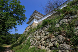 坤櫓｜高解像度画像サイズ：5616 x 3744 pixels｜写真番号：1P3J8299｜撮影：Canon EOS-1Ds Mark III