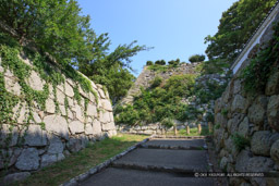 先の門虎口｜高解像度画像サイズ：5616 x 3744 pixels｜写真番号：1P3J8302｜撮影：Canon EOS-1Ds Mark III