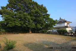 天守台｜高解像度画像サイズ：4706 x 3137 pixels｜写真番号：1P3J8478｜撮影：Canon EOS-1Ds Mark III