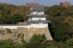 巽櫓｜高解像度画像サイズ：7673 x 5116 pixels｜写真番号：5DSA7605｜撮影：Canon EOS 5DS