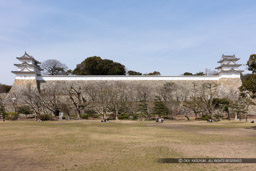 坤櫓と巽櫓｜高解像度画像サイズ：8131 x 5421 pixels｜写真番号：5DSA8173-Edit｜撮影：Canon EOS 5DS