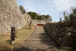 白の門跡への通路｜高解像度画像サイズ：8688 x 5792 pixels｜写真番号：5DSA8195｜撮影：Canon EOS 5DS