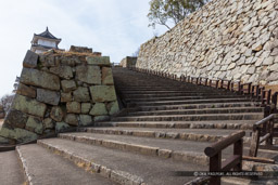 大の門跡への石段｜高解像度画像サイズ：7798 x 5199 pixels｜写真番号：5DSA8224｜撮影：Canon EOS 5DS