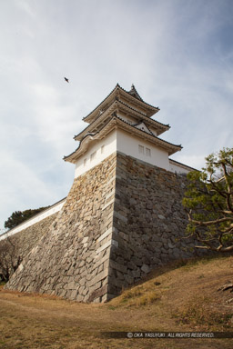 巽櫓｜高解像度画像サイズ：5792 x 8688 pixels｜写真番号：5DSA8235｜撮影：Canon EOS 5DS