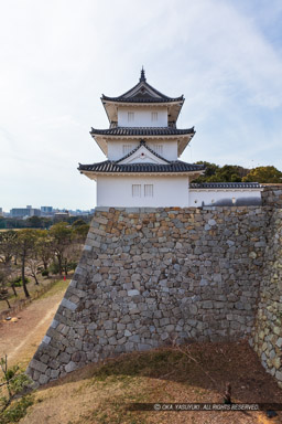 巽櫓｜高解像度画像サイズ：5785 x 8677 pixels｜写真番号：5DSA8239｜撮影：Canon EOS 5DS