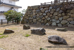 天守台前の刻印石｜高解像度画像サイズ：8688 x 5792 pixels｜写真番号：5DSA8260｜撮影：Canon EOS 5DS