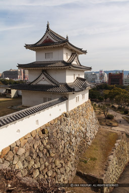 天守台から望む坤櫓・2019年|高解像度画像サイズ:5792 x 8688 pixels|写真番号:5DSA8264|撮影:Canon EOS 5DS