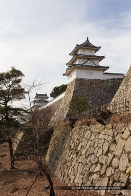 坤櫓と巽櫓｜高解像度画像サイズ：5792 x 8688 pixels｜写真番号：5DSA8268｜撮影：Canon EOS 5DS