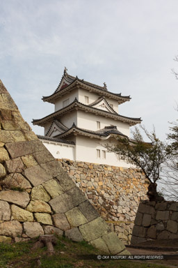 天守台と坤櫓｜高解像度画像サイズ：5523 x 8285 pixels｜写真番号：5DSA8282｜撮影：Canon EOS 5DS