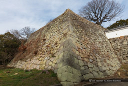 天守台｜高解像度画像サイズ：8688 x 5792 pixels｜写真番号：5DSA8284｜撮影：Canon EOS 5DS