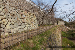 腰曲輪｜高解像度画像サイズ：8688 x 5792 pixels｜写真番号：5DSA8287｜撮影：Canon EOS 5DS