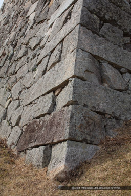 巽櫓の櫓台にある刻印｜高解像度画像サイズ：5792 x 8688 pixels｜写真番号：5DSA8293｜撮影：Canon EOS 5DS