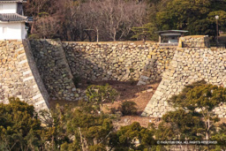 大堀切 | 高解像度画像サイズ：1586 x 1057 pixels | 写真番号：5DSA8304 | 撮影：Canon EOS 5DS