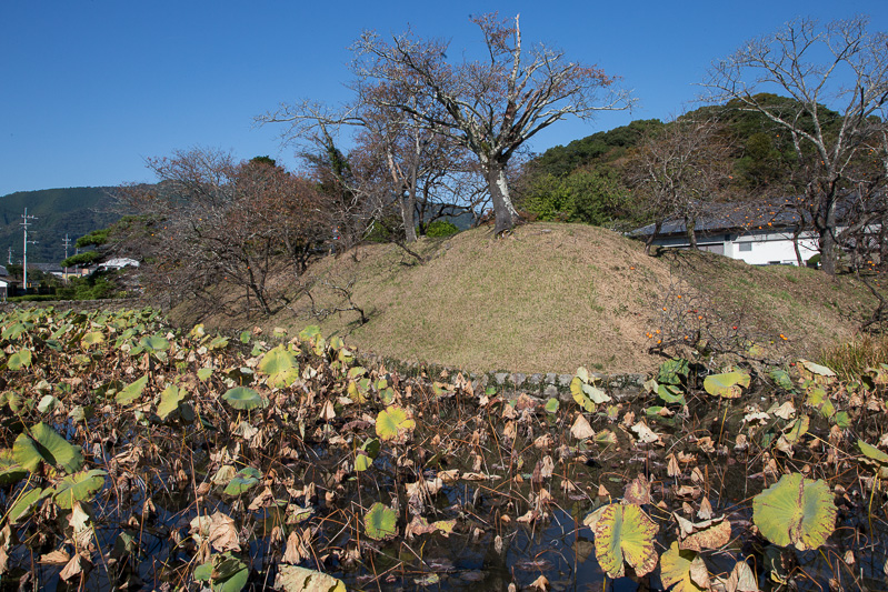 水堀と土居