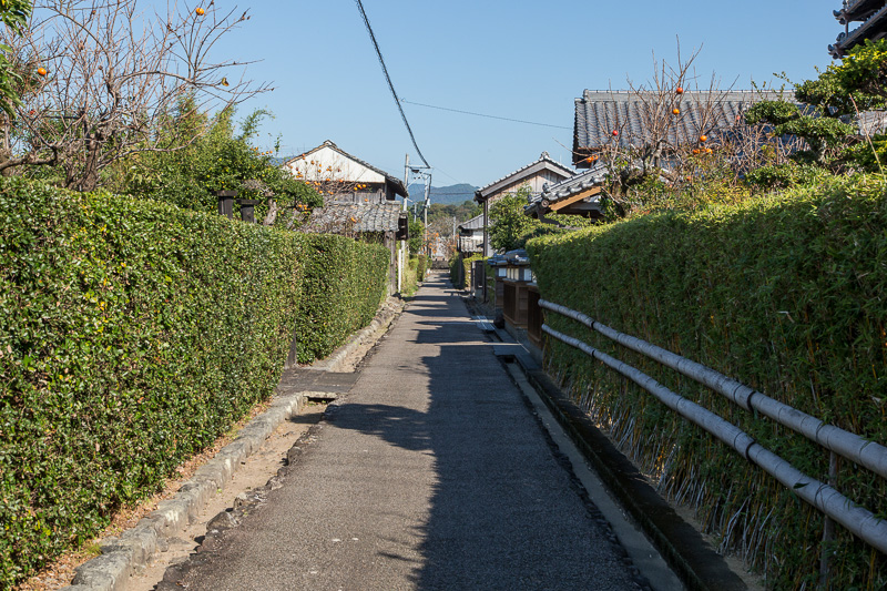 土居郭中