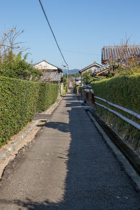 土居郭中