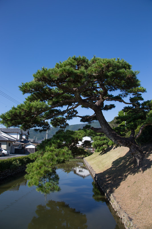 水堀と土居