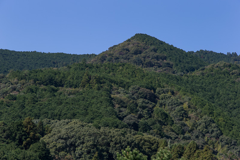 妙見山を望む