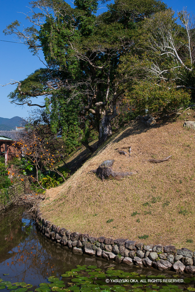 水堀と土居