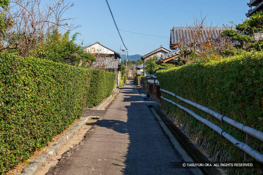 土居郭中