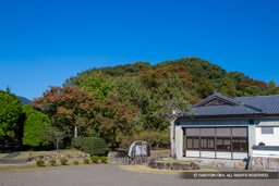 安芸城・城山 | 高解像度画像サイズ：4778 x 3185 pixels | 写真番号：1DXL7787 | 撮影：Canon EOS-1D X