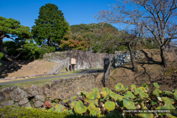 安芸城大手口 | 高解像度画像サイズ：5184 x 3456 pixels | 写真番号：1DXL7792 | 撮影：Canon EOS-1D X