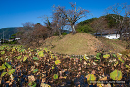 水堀と土居 | 高解像度画像サイズ：5050 x 3366 pixels | 写真番号：1DXL7795 | 撮影：Canon EOS-1D X